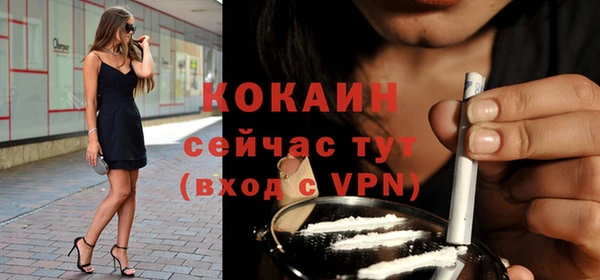 кокс Дмитров