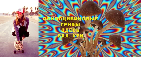 синтетический гашиш Дмитровск