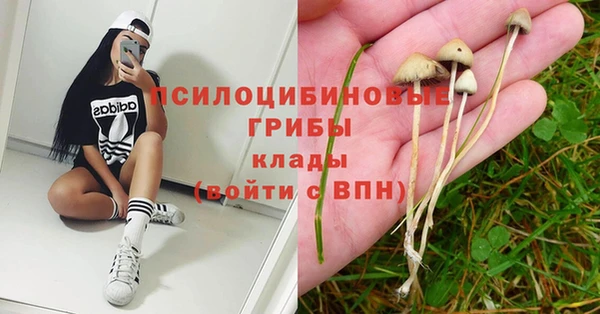 кокс Дмитров